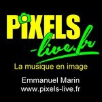 Logo PIXELS-LIVE
